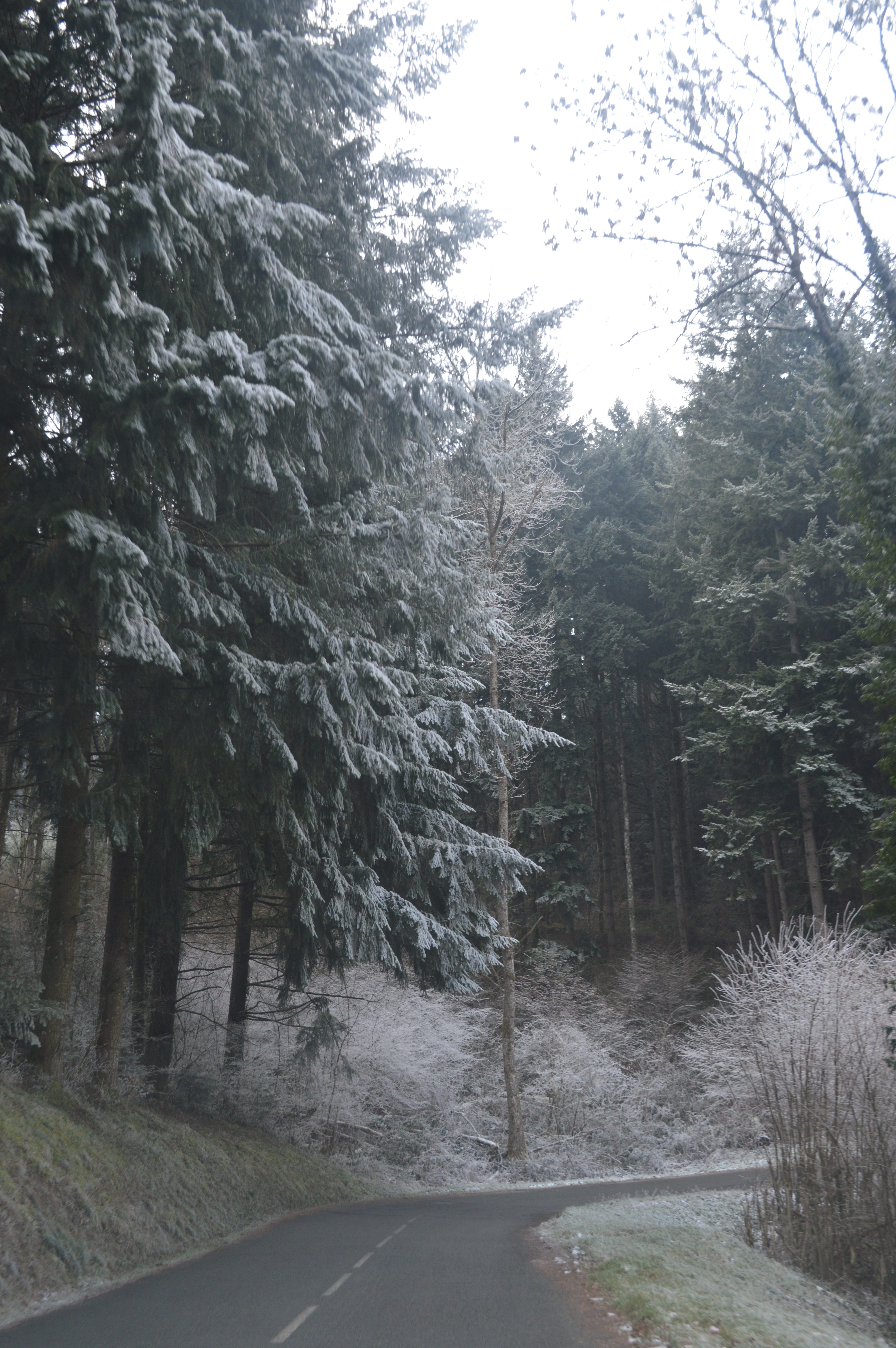 Séjourner à la Fabrique en hiver / Stay at the Fabrique in winter…